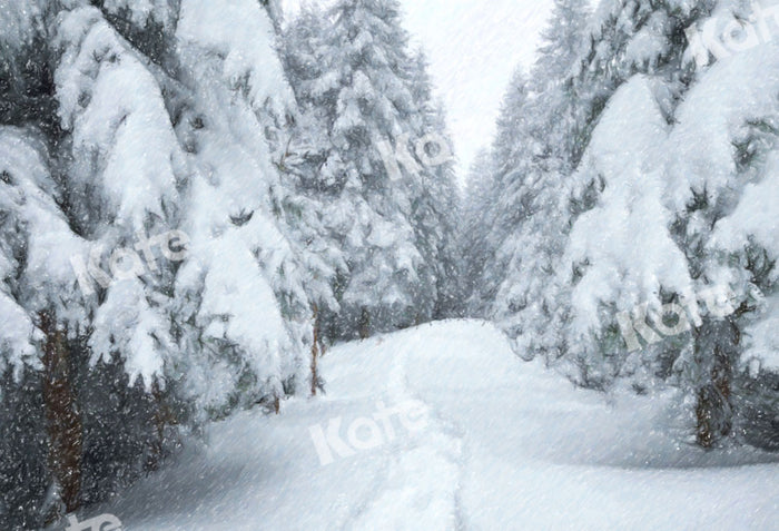 Winter Wonderland Snowy Forest Backdrop