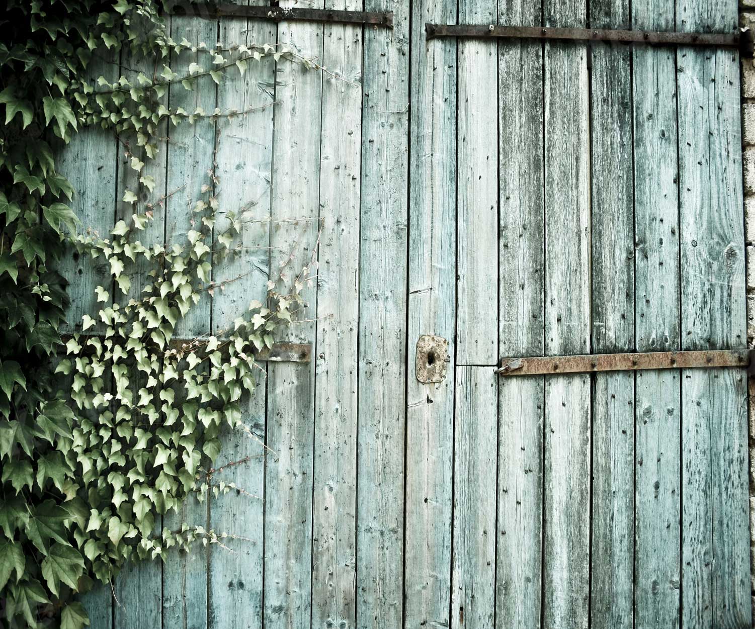 Kate Old Barn Door Spring Backdrop for Children Photography - Katebackdrop