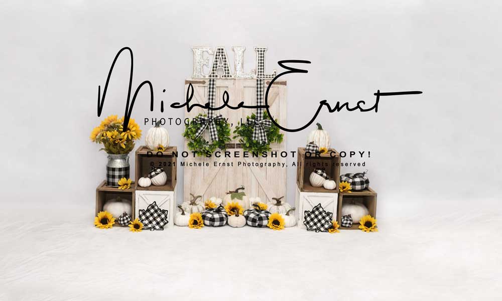 Kate Fall Backdrop Wreath Sunflowers Designed By Michele Ernst Photography