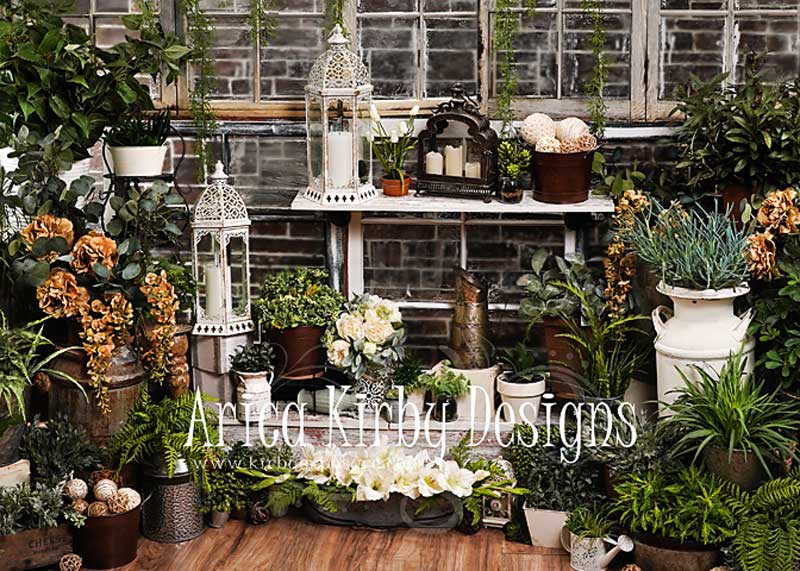 Kate Summer Greenhouse Backdrop Plant designed by Arica Kirby