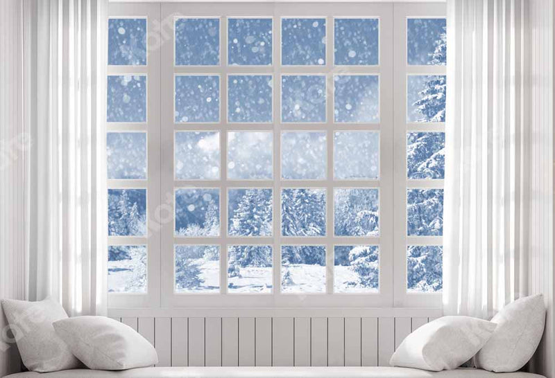 Winter Wonderland Snowy Window Backdrop