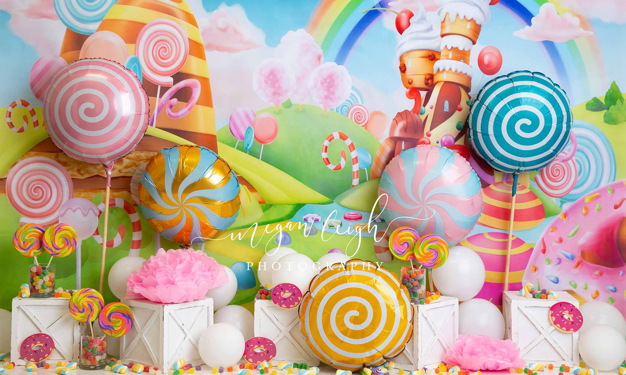 Kate sweets treats Backdrop Cake Smash Designed by Megan Leigh Photography