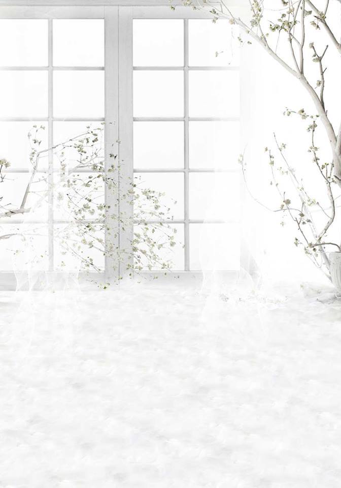 Katebackdrop£ºKate White Windows With Curtains Spring Rattan Backdrop