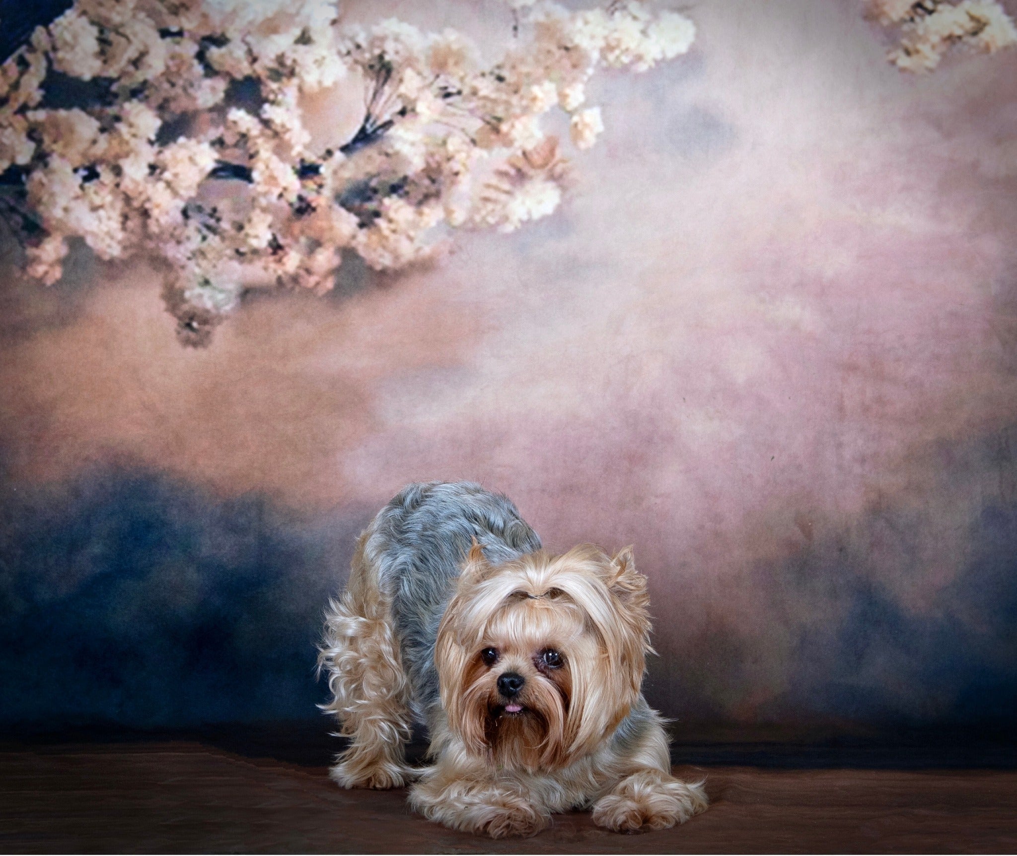 Kate Pet Abstract Background With Florals Backdrops for Photography