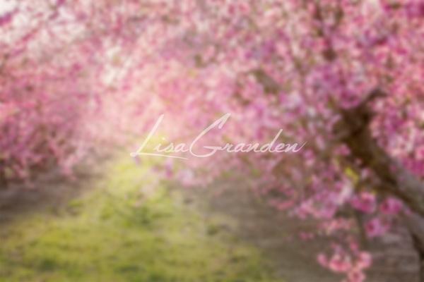 Katebackdrop£ºKate Spring Pink Flowers Backdrop for Photography Designed by Lisa Granden