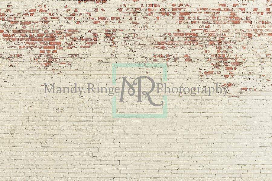 Katebackdrop£ºKate Shabby Peeling Cream Brick Backdrop Designed by Mandy Ringe Photography
