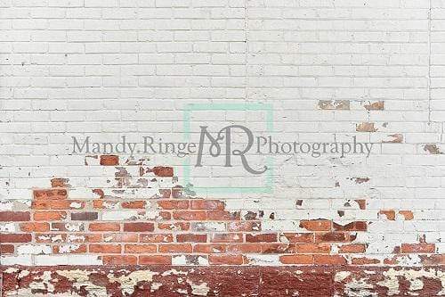 Katebackdrop鎷㈡綖Kate Shabby White and Red Brick Backdrop Designed By Mandy Ringe Photography