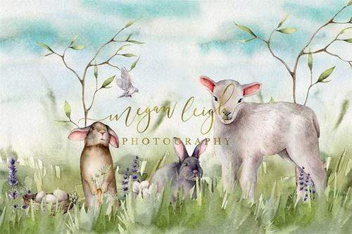 Katebackdrop鎷㈡綖Kate Spring Nature Field Easter Backdrop Designed by Megan Leigh Photography