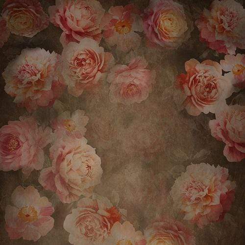 Katebackdrop鎷㈡綖Kate Fine Art Retro Flowers Backdrop Designed By JS Photography