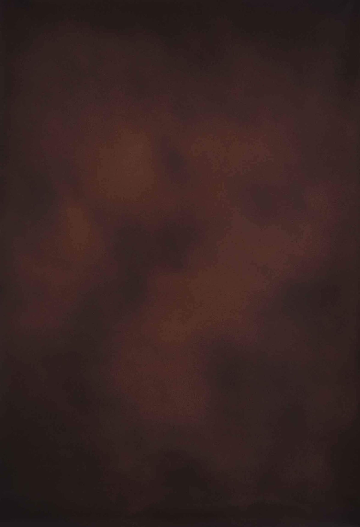 Classic Rustic Brown Vintage Studio Backdrop