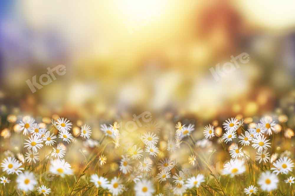 Kate Spring/Summer Bokeh Backdrop Daisy Designed by Chain Photography