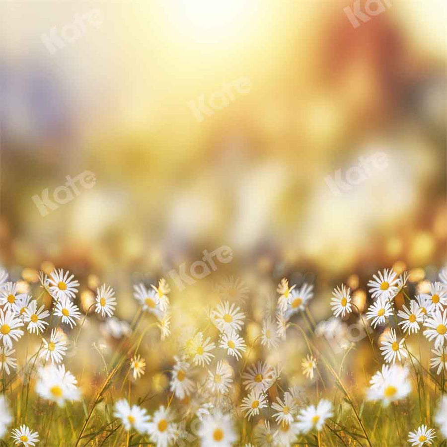Golden Sunrise Daisies Floral Backdrop