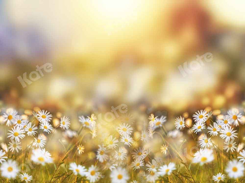 Golden Sunrise Daisies Floral Backdrop