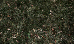 Tapete de suelo de goma con hojas caídas de pradera