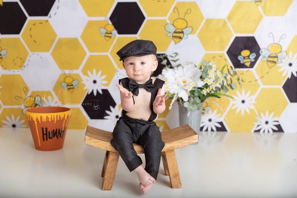Katebackdrop£ºKate Bumble Bee Summer Backdrop for Photography Designed by Megan Leigh Photography