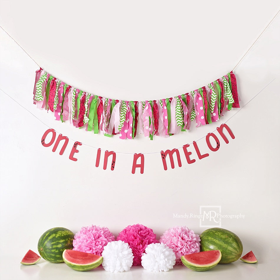 Kate Summer One in A Melon First Birthday Backdrop for Photography Designed by Mandy Ringe Photography