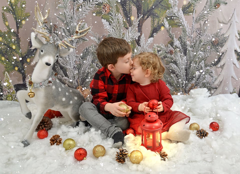 Kate Simple Christmas Trees Snowy Backdrop for Photography Designed By Mandy Ringe Photography