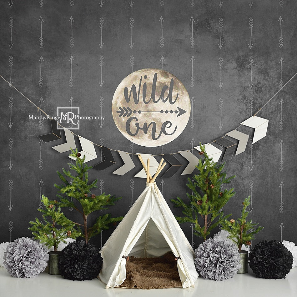 Kate Wild One Boy First Birthday Backdrop Designed By Mandy Ringe Photography