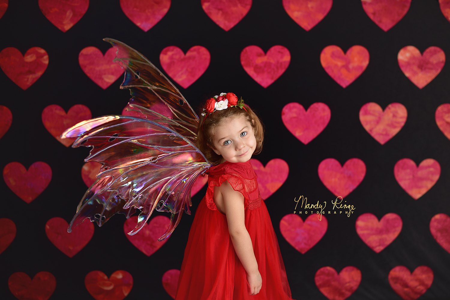 Kate Painted Heart Pattern Valentines Backdrop Designed By Mandy Ringe Photography