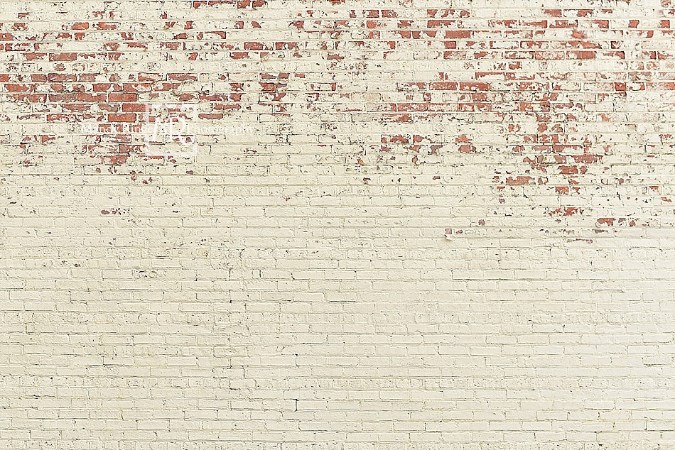 Kate Shabby Peeling Cream Brick Backdrop Designed by Mandy Ringe Photography