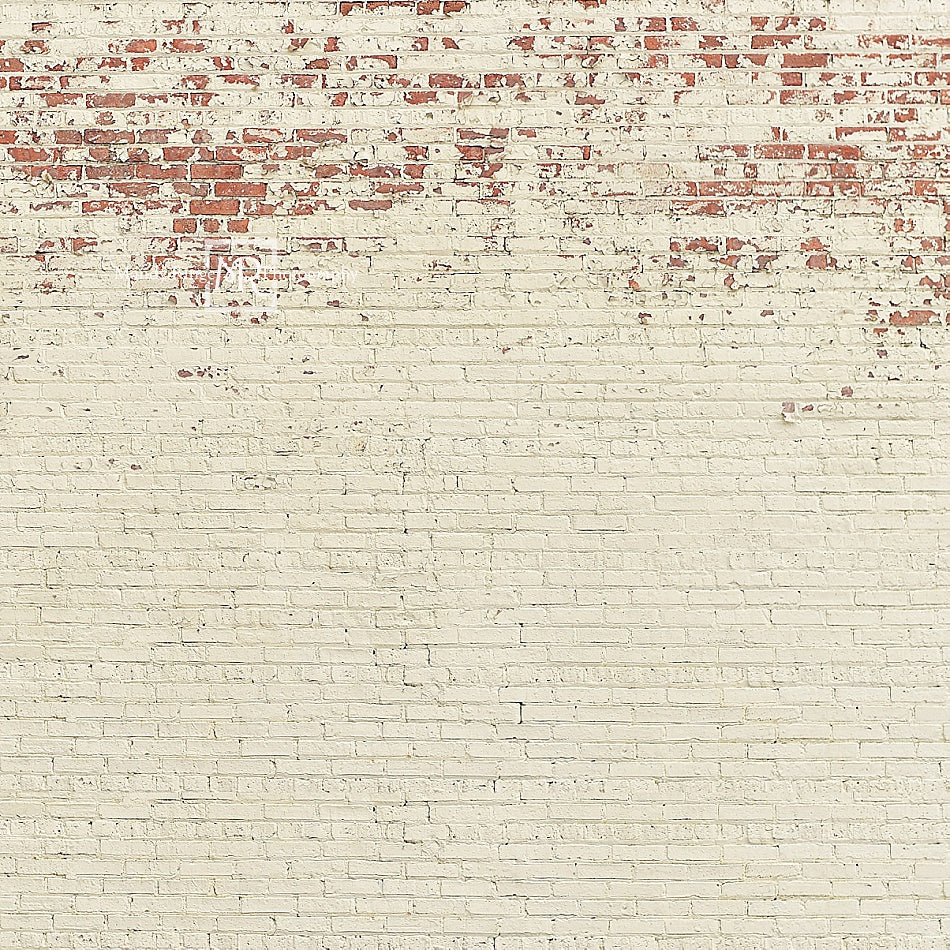 Kate Shabby Peeling Cream Brick Backdrop Designed by Mandy Ringe Photography