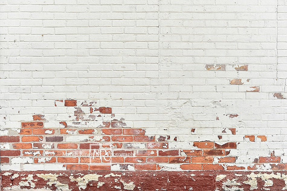 Kate Shabby White and Red Brick Backdrop Designed By Mandy Ringe Photography