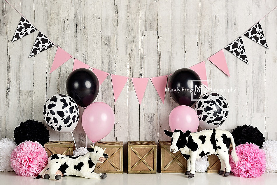RTS Kate Cow Girly Birthday Children Backdrop Designed By Mandy Ringe Photography (US ONLY)