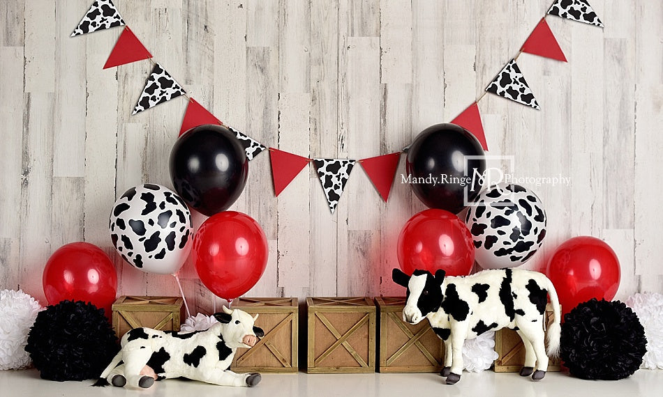 RTS Kate Cow Birthday Children Backdrop Designed By Mandy Ringe Photography