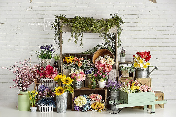 Kate Spring Flower Stand Printed Backdrop Designed By Mandy Ringe Phot