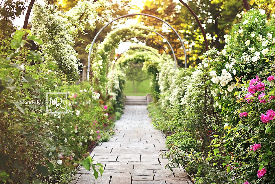 Kate Spring Secret Garden Path Backdrop Designed By Mandy Ringe Photography