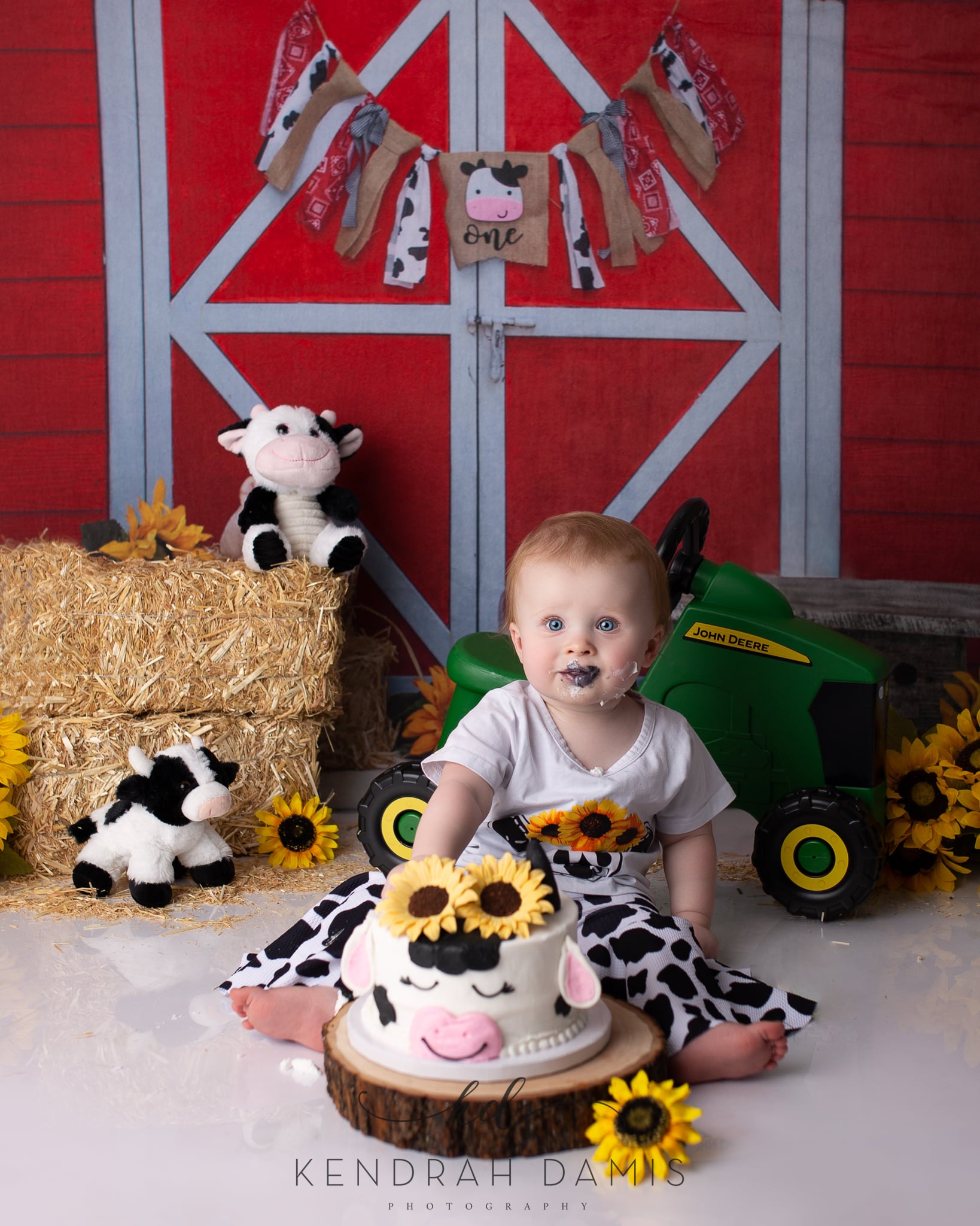 Kate 1st Birthday Farm Animal Cake Smash Backdrop Designed By Alisha Byrem