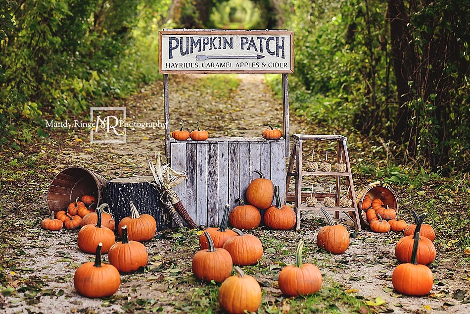 Kate Autumn/Thanksgiving Backdrop Pumpkin Stand Designed by Mandy Ringe Photography - Kate Backdrop