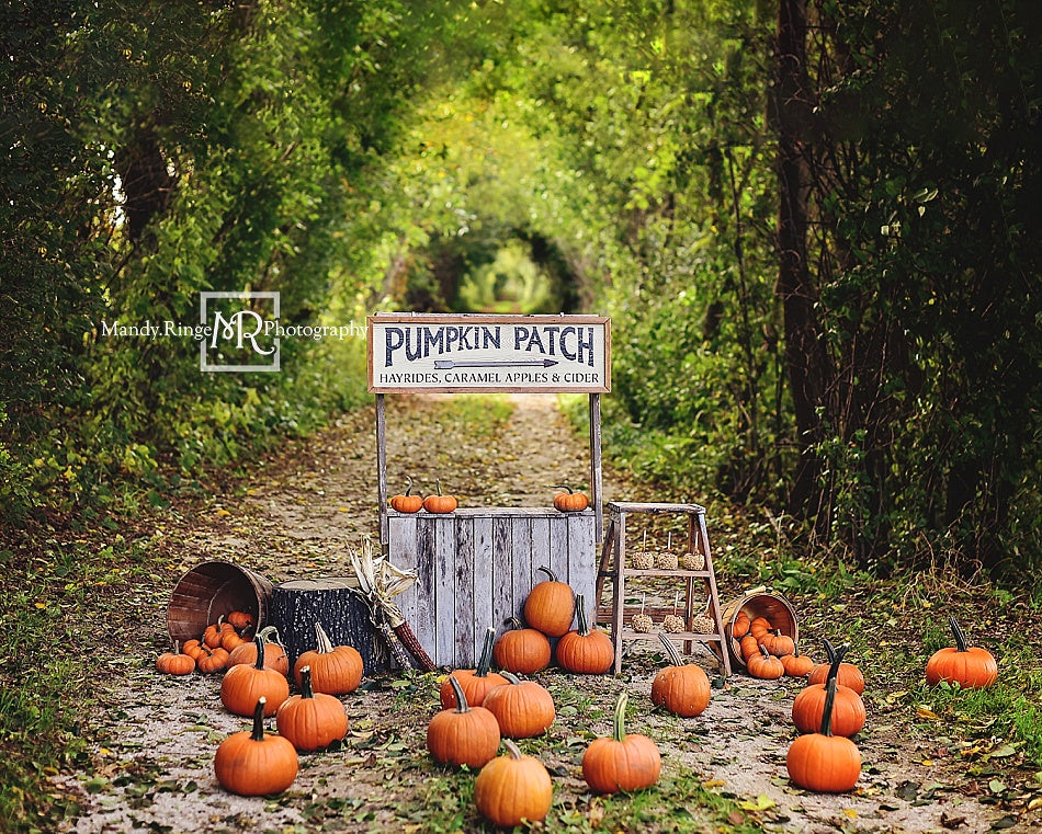 Kate Autumn/Thanksgiving Backdrop Pumpkin Stand Designed by Mandy Ringe Photography