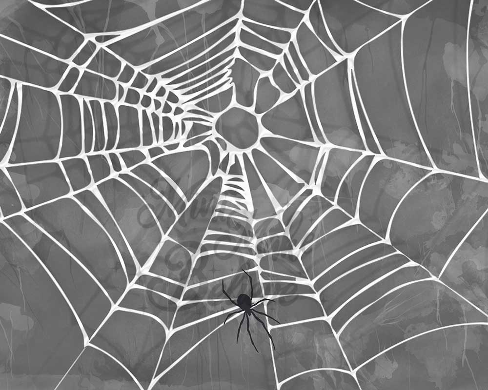 Kate Halloween Spooky Backdrop Spider Web for Photography