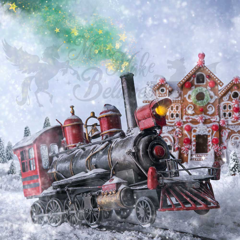 Kate Christmas Polar-Express Backdrop for Photography Designed by Mini MakeBelieve