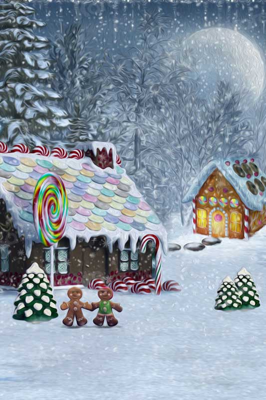 Kate Candy House Backdrop In The Snow for Photography