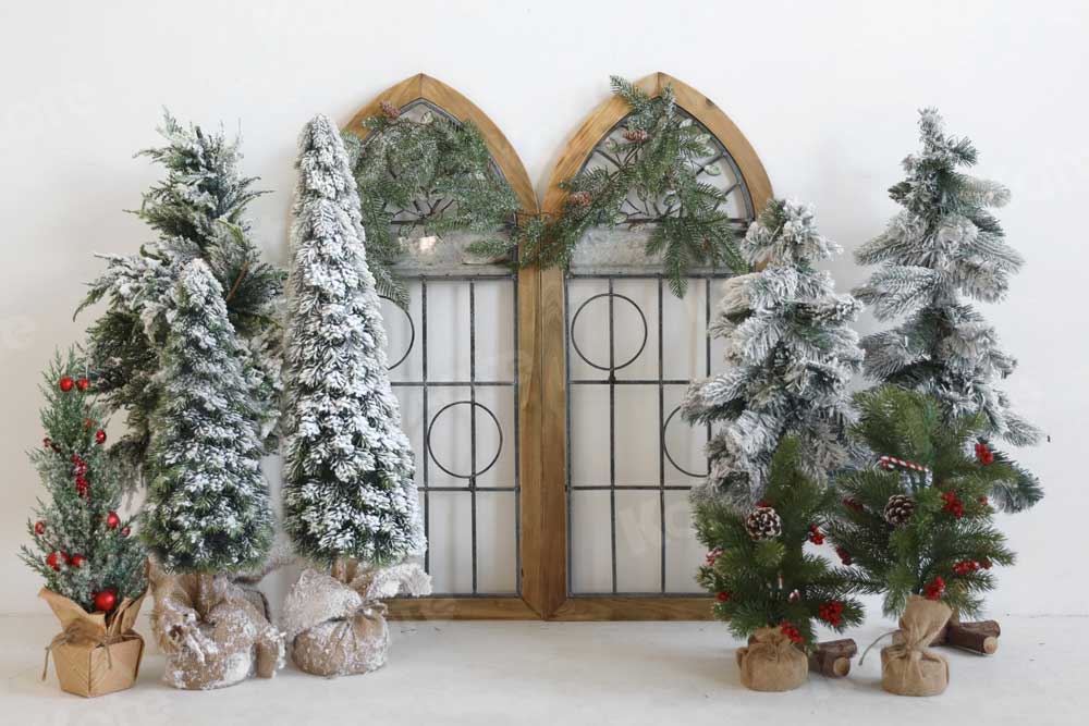 Kate Christmas Winter Backdrop Trees Barn Door for Photography