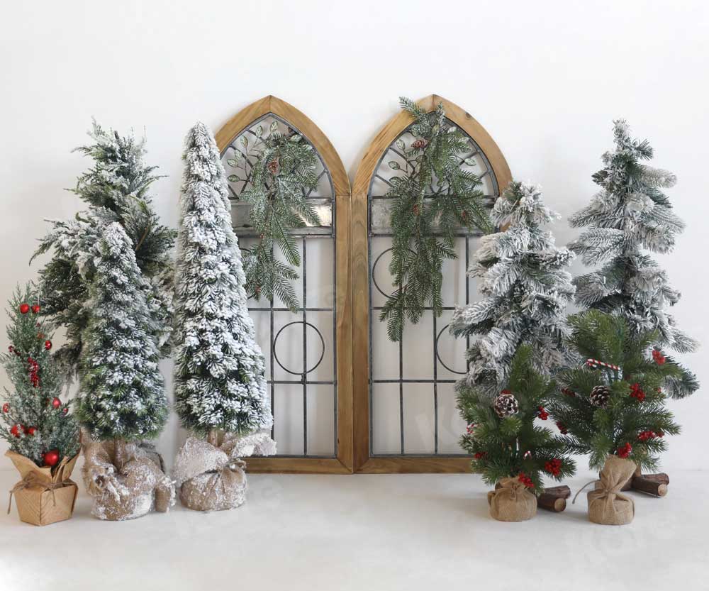 Kate Christmas Winter Backdrop Trees Barn Door for Photography