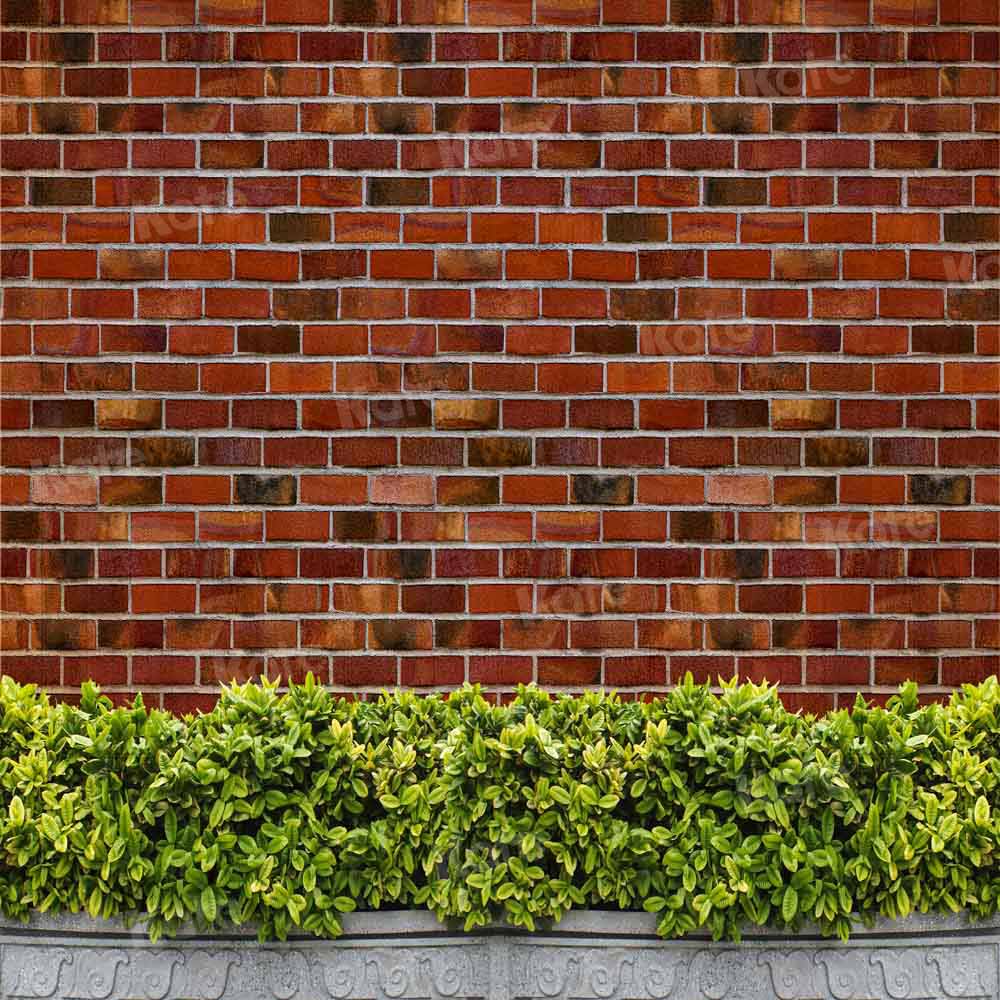 Kate Red Brick Background Grassland for Photography Designed by Chain Photography