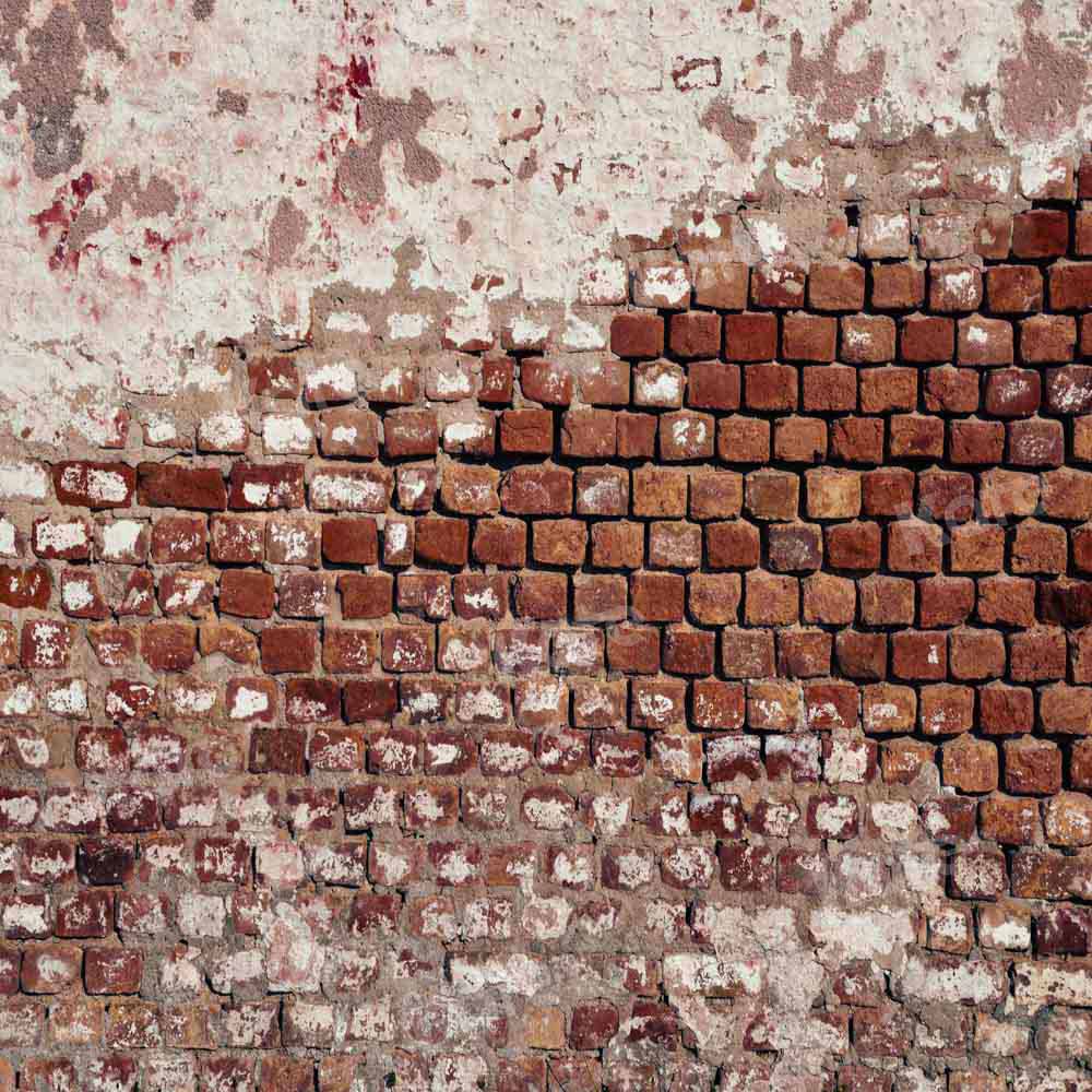 Kate Retro Old Backdrop Red Brick Wall Designed by Kate Image