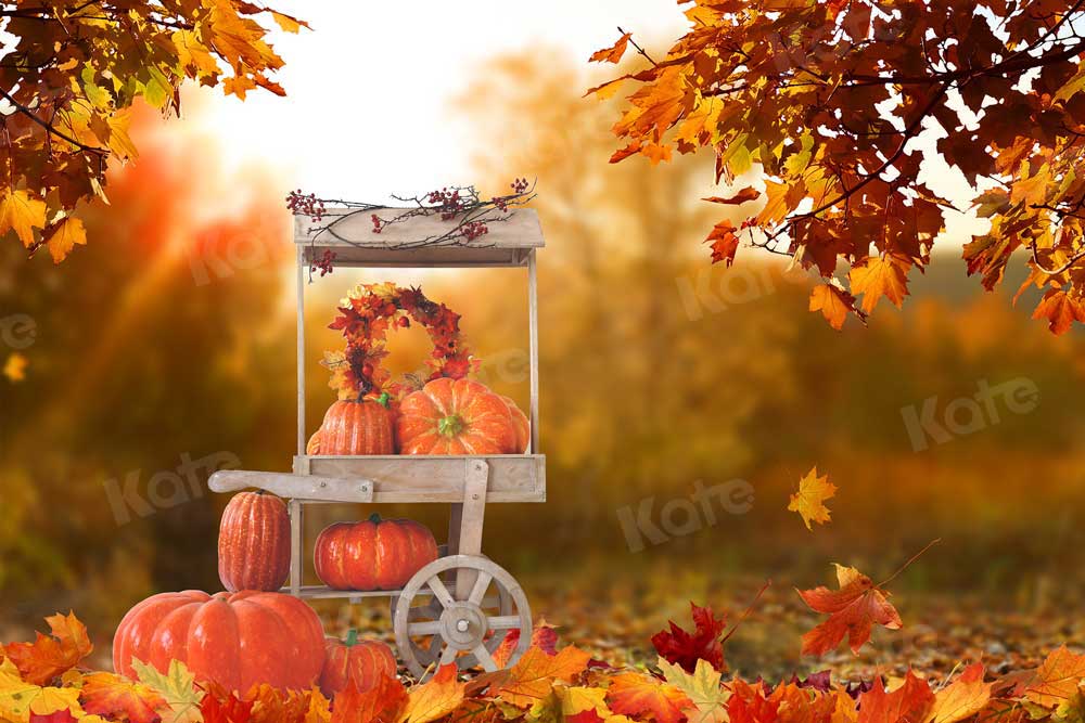 Kate Fall Backdrop Harvest Pumpkin Stand Sunset for Photography