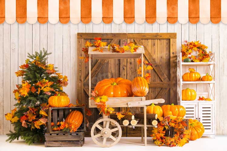 Kate Fall/Thanksgiving backdrops for photography – Page 3