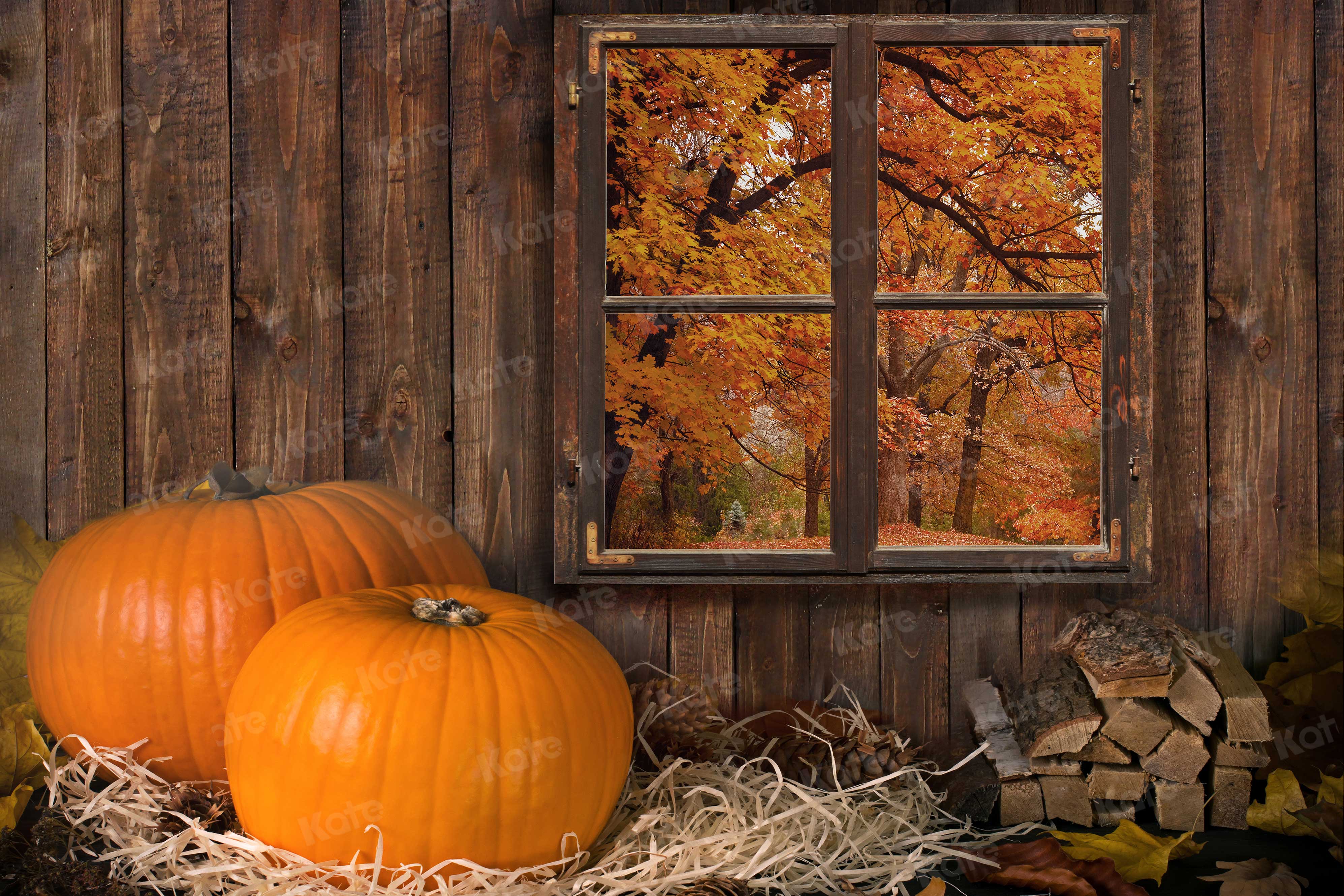 Kate Fall Backdrop Pumpkin Wood Farm Window for Photography