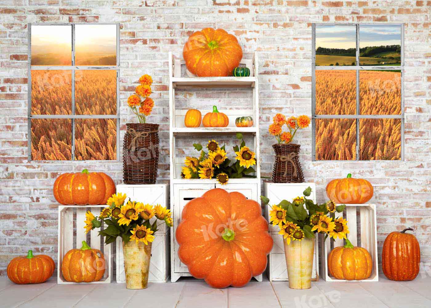 Kate Fall Pumpkin Backdrop White Window Designed by Emetselch