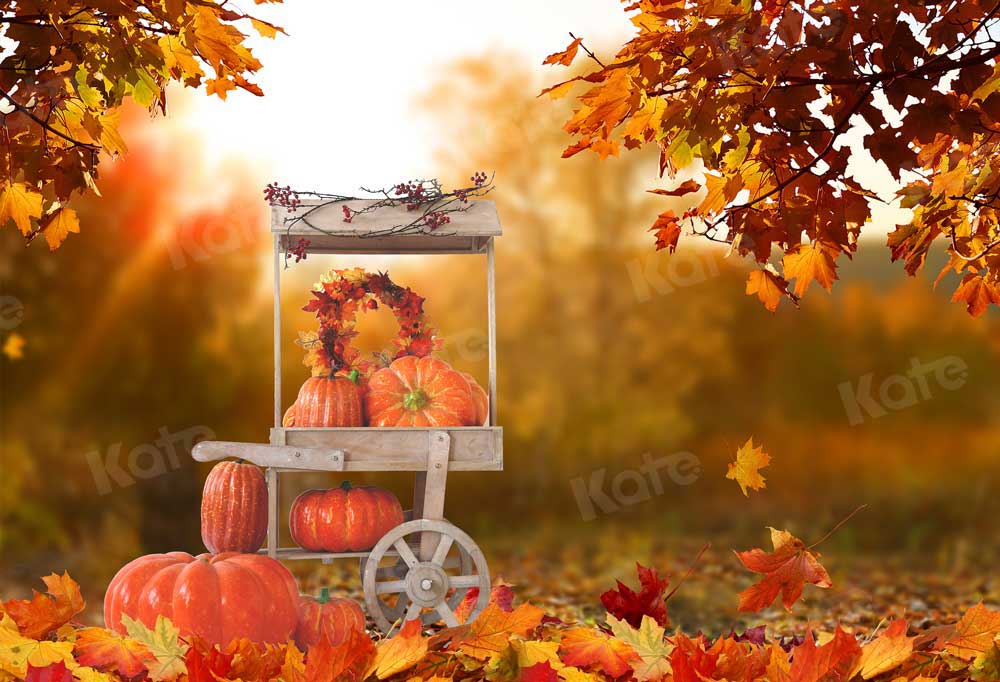 Kate Fall Backdrop Harvest Pumpkin Stand Sunset for Photography