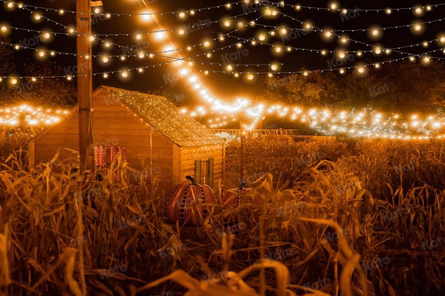 Kate Fall Pumpkin Backdrop Farm Night for Photography