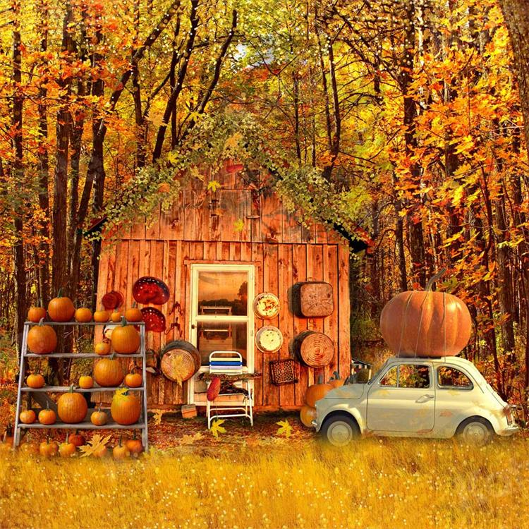 Kate Fall Pumpkin Car Backdrop Wood House for Photography