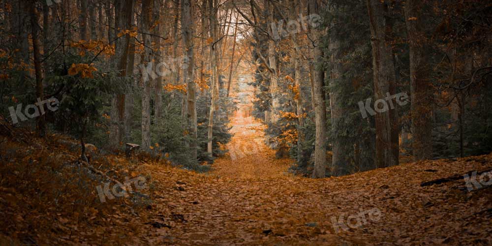 Kate Fall Maple Leaf Backdrop Forest Designed by Chain Photography