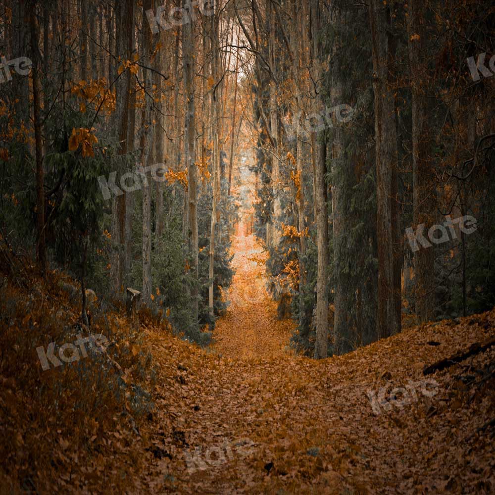 Kate Fall Maple Leaf Backdrop Forest Designed by Chain Photography