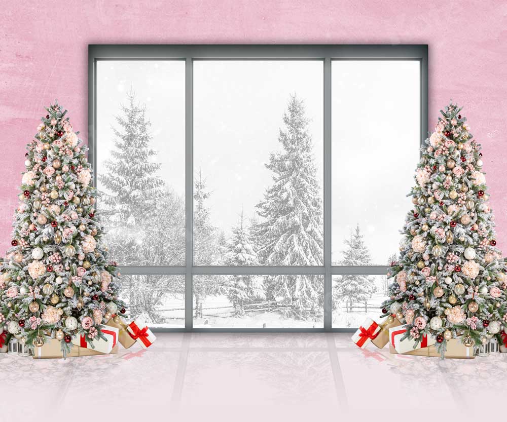 Kate Christmas Window Backdrop Pink Wall for Photography